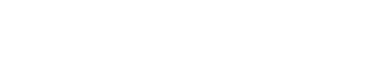 ByteWire